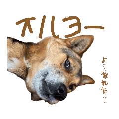 nosuke_20260331203044