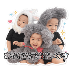 kippei_20260331202218