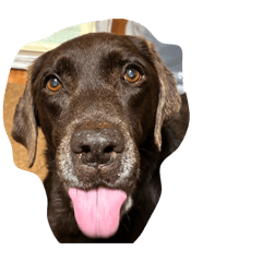 tommy_20260328165920