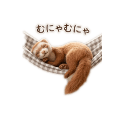 kota1109_20260331203644