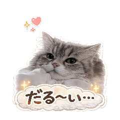 chabee_20260331210025