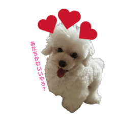 Monica_20260331222327