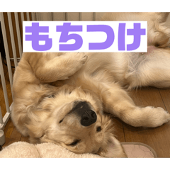 Mikadukimo_20260401003116