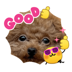 popochan_20260401041300