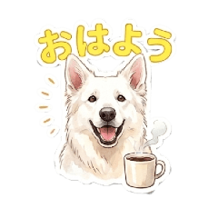 Kinako Papa_20260401044212