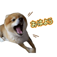 mihosaaan!_20260401083307