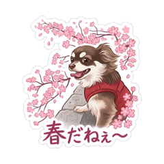 mrmaro_20260331213359