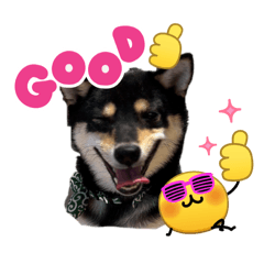 okoge_20260401095725