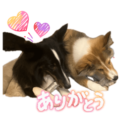 kageshi_20260401095753