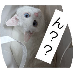 nakanishi yasuaki_20260331220923