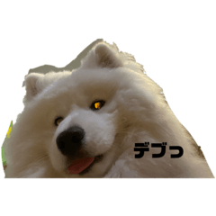 akarinrin_20260401093404