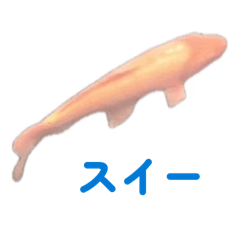 Shiba_20260401094549