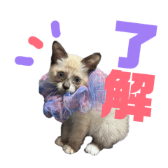 kg0403_20260331222150