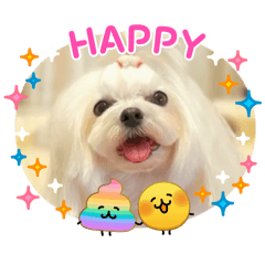 chinchiwa_20260401103420