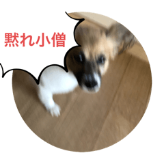 gomes_20260401104214