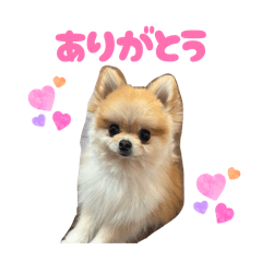 Ayane_20260401105417