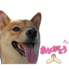 atati_20260401110059