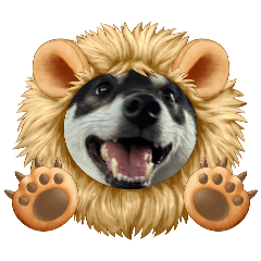 momo1103_20260401105349