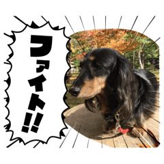 ANSAN_20260401104924