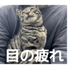 shinichi_20260331230722