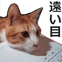 Super cute Pon sticker