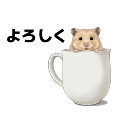 scoop_20260331212837