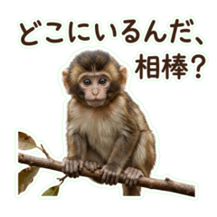 Baby Monkey Japanese Greeting 08