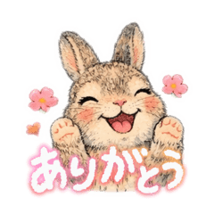 Raiki_20260331230321