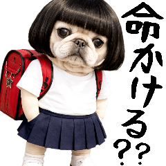 Japanese stickers of a pug