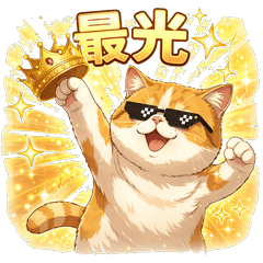 exotic shorthair pooh