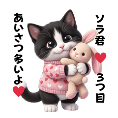 Sora the cat Stickers set #3