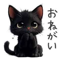 Daily Life with Black Cat