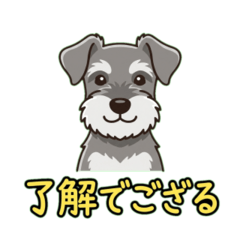 Miniature Schnauzer Japanese Greeting 09