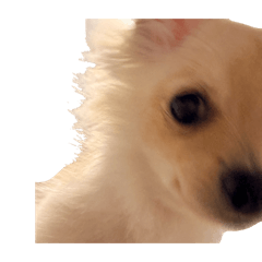 manta_20260331235939