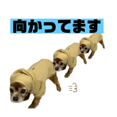 riyeah_20260401000450