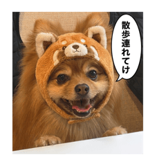 hideo_20260401000919