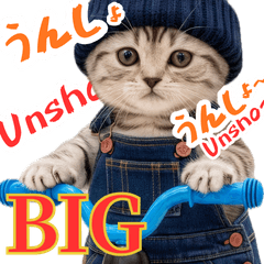 Nyankichi BIG Stickers