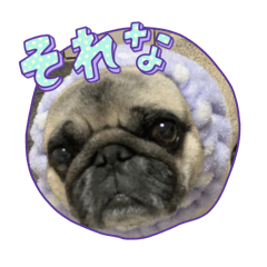 decoo_20260401124848