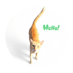 Kedsra_20260331220203