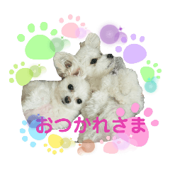 Lily0917_20260401024129