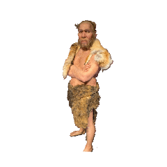 segawa._20260328231623