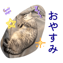 Taishi_20260328213125