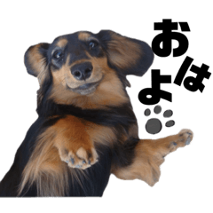 big Fortune_20260401032602