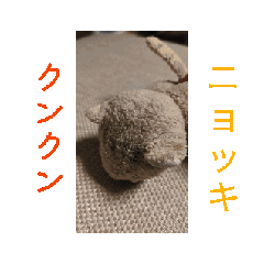 telless_20260401135639