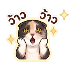 sontayar_20260401110642