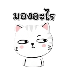 Mischievous_20260401115358