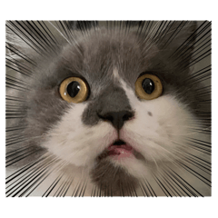 Mr.Ryann low battery - Meme