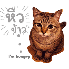 Chubee the tubby_20260331231446