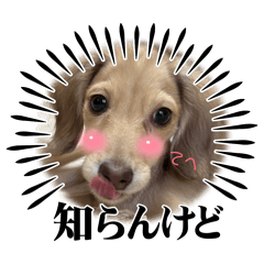 yuuchan_20260330222856
