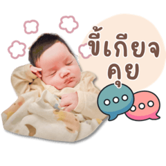 Wigate_20260401001951